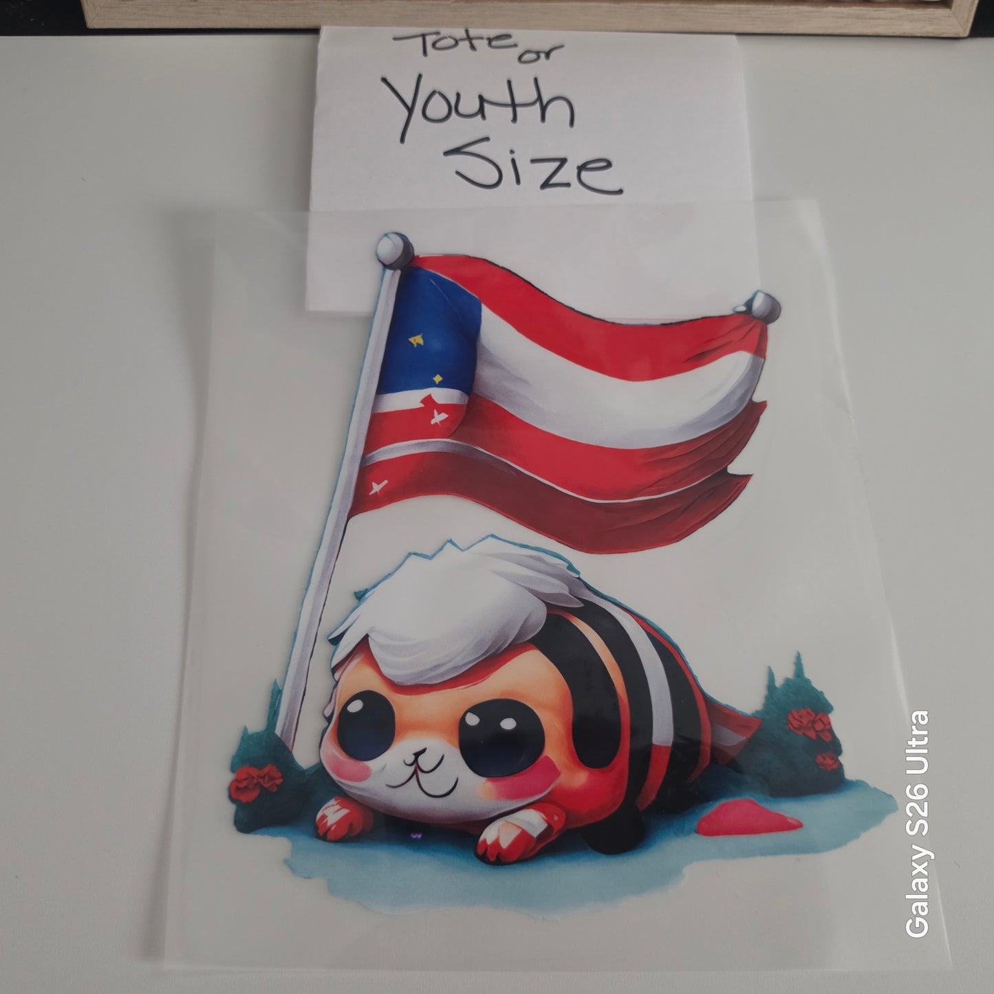 PR 28 DTF TRANSFER ONLY OR $10.00 t-shirt YOUTH