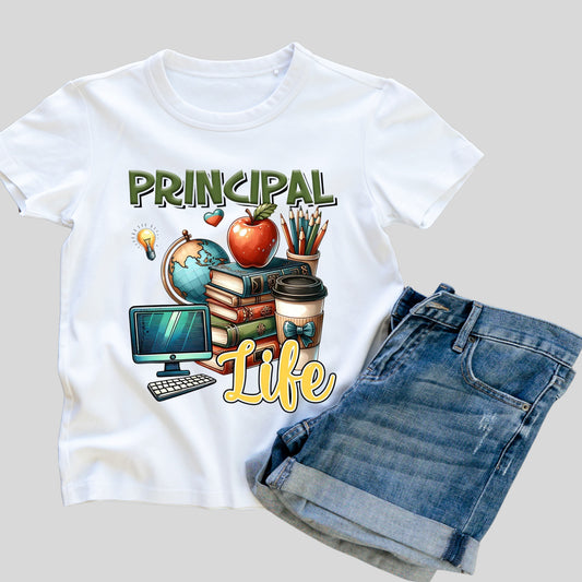 DTF 102 PRINCIPAL LIFE